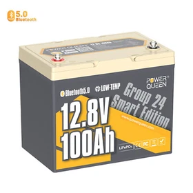 Power Queen LiFePO4 Lithium Battery 12V 100Ah Deep Cycle for RV Solar Marine lot