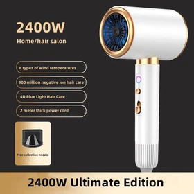 Manufacturer's Direct Selling High-Speed Hair Dryer 2400w High-Power Negative Io