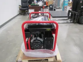 APGG12000GLCS ALL-POWER AMERICA Dual Fuel Start Generator #2