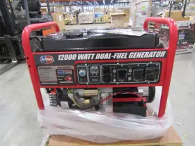 APGG12000GLCS ALL-POWER AMERICA Dual Fuel Start Generator #3
