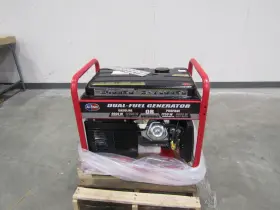 APGG12000GLCS ALL-POWER AMERICA Dual Fuel Start Generator
