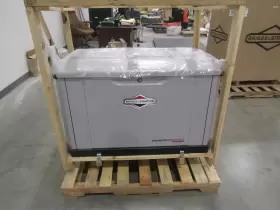 PPDX20 BRIGGS STRATTON Powerprotect Standby Generator