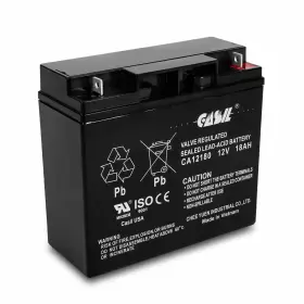 305487658240 CASIL Champion Generator Battery Batte