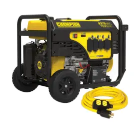 100704 CHAMPION Generator
