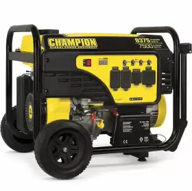 100813 CHAMPION Generator