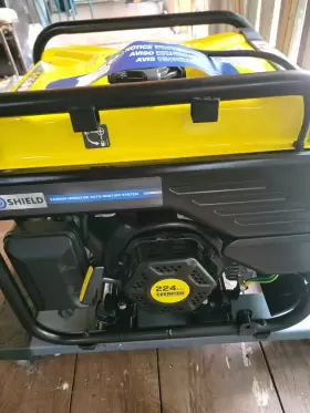 201274 CHAMPION Gas Generators Inverter #3