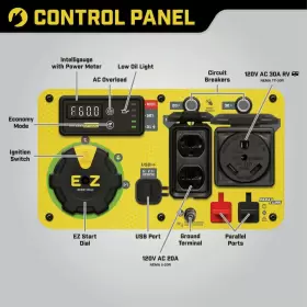 200991 CHAMPION POWER EQUIPMENT Dual Fuel Electric Recoil #3