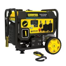 201054 CHAMPION POWER EQUIPMENT Gas #2