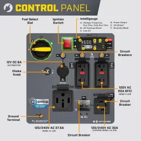 201417 CHAMPION POWER EQUIPMENT Dual Fuel Gas Inverter Start #3