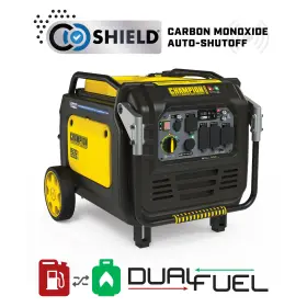 313113771768 CHAMPION POWER EQUIPMENT Electric Start Dual