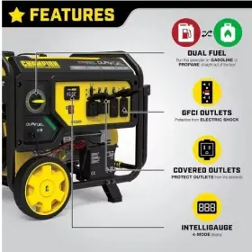 G-296 CHAMPION POWER EQUIPMENT Generator Dual Fuel #3
