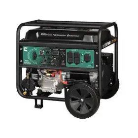 CMGA075C509 CUMMINS Onan Dual Fuel Generator Efi Reliable