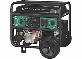 A058U967 CUMMINS/ONAN Dual Fuel Generator Remote Start