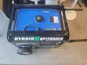 XP12000EH DUROMAX Gas Propane Dual Fuel Electric Start