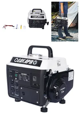 699913674462 ESDDG Generator Gas Start Up