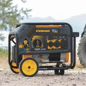 HO3652 FIRMAN Dual Fuel Generator