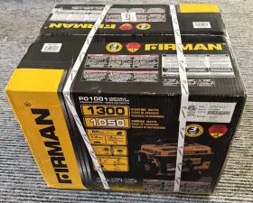 P01001 FIRMAN Generator Watts