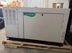 0052620 GENERAC Stand Generator