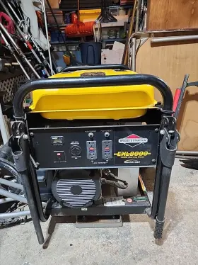 EXL13500 GENERAC Ohvbriggs Stratton Watts Electric Start