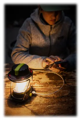 32010 GOAL ZERO Lighthouse Lantern Usb Power Hub #3