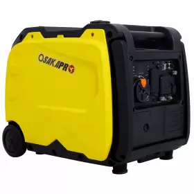W46560431 HXHOME Inverter Generator Electric Start