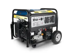 N12000ES ELECTRIC Generator Start