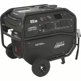 4882186 NORTHSTAR Efi Generator Electric Start