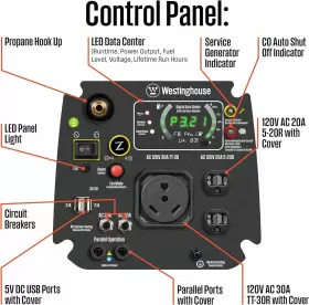 4024 OUTDOOR POWER EQUIPMENT Peak Dual Fuel Inverter Remote #2