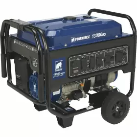 3172086 POWERHORSE Generator Surge Watts Electric