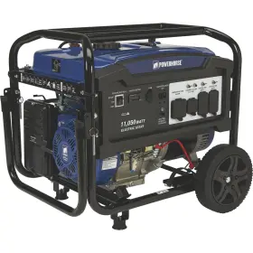 4276872 POWERHORSE Generator Surge Watts Electric