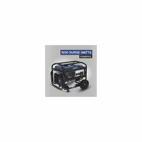 4276881 POWERHORSE Generator Surge Watts Electric #2