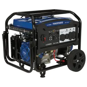 6075695 POWERHORSE Generator Electric Start Watts