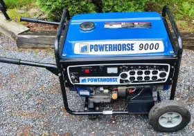 9000ES POWERHORSE Electric Start Generator Surge Watts #2