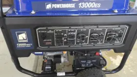 ES13000 POWERHORSE Generator Surge Watts #2
