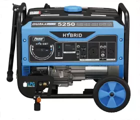 PG5250B SWITCH Dual Fuel Generator Go #2