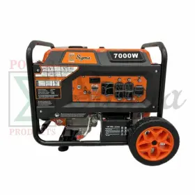 689389 SIGMA Watts Electric Start Frame Gas Generator Alert