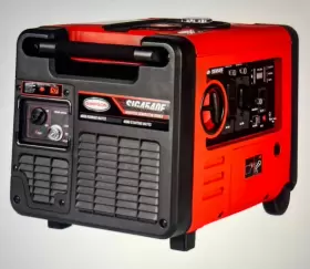 TV-106576 SIMPSON CLEANING Inverter Generator Engine