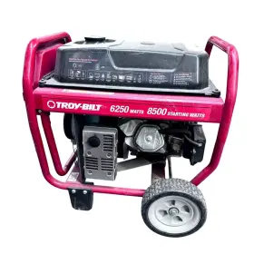030594A TROY BILT Generator #2