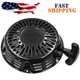 For RYOBI RY906500S 6500 8125 Watts New Generator DG1 Recoil Starter Assy US