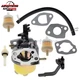 Carburetor For Honda HR194 HR195 HR214 HR216 HR215 Carb 5.5 HP Lawnmower Engine
