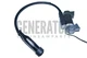 Ignition Coil Module For All Power America APG3009C N APG3075 APGG6000 Generator