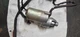 Starter Motor, Relay, Regulator Wiring Powerhouse PH2100PRi Generator