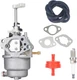 RY906500 Carburetor for Ryobi RY906500S 6500 8125 Watt HM-D262839 D262839