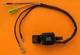 Buffalo Tools Sportsman GEN1000 800 1000 Watts 2HP Generator Magneto Coil A