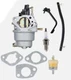 CARBURETOR SPARK PLUG FILTER Briggs  Storm Responder 6250 8500 Generator 030592
