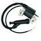 Ignition Coil Module for Generac GP3300 3300 3750 Watts Generator