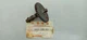 Genuine Honda 14101-836-000 Camshaft Generator E300 ER400