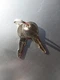 Generac Universal Key Latch Key Genuine OEM Part