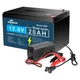 12V 20Ah LiFePO4 Lithium Battery Only / Charger Only / Combo for Power Wheel Lot