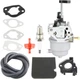 RY906500S Carburetor for Ryobi 6500 8125 Watts Generator HM-D262839 D262839
